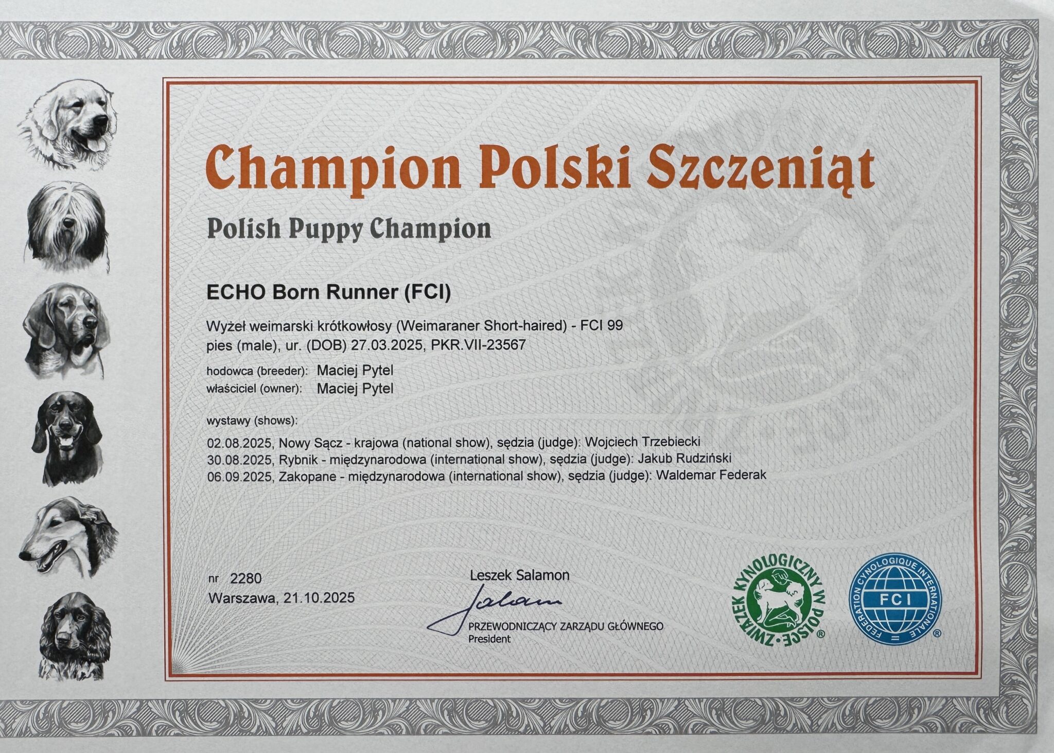 Nasze psy echo plpch