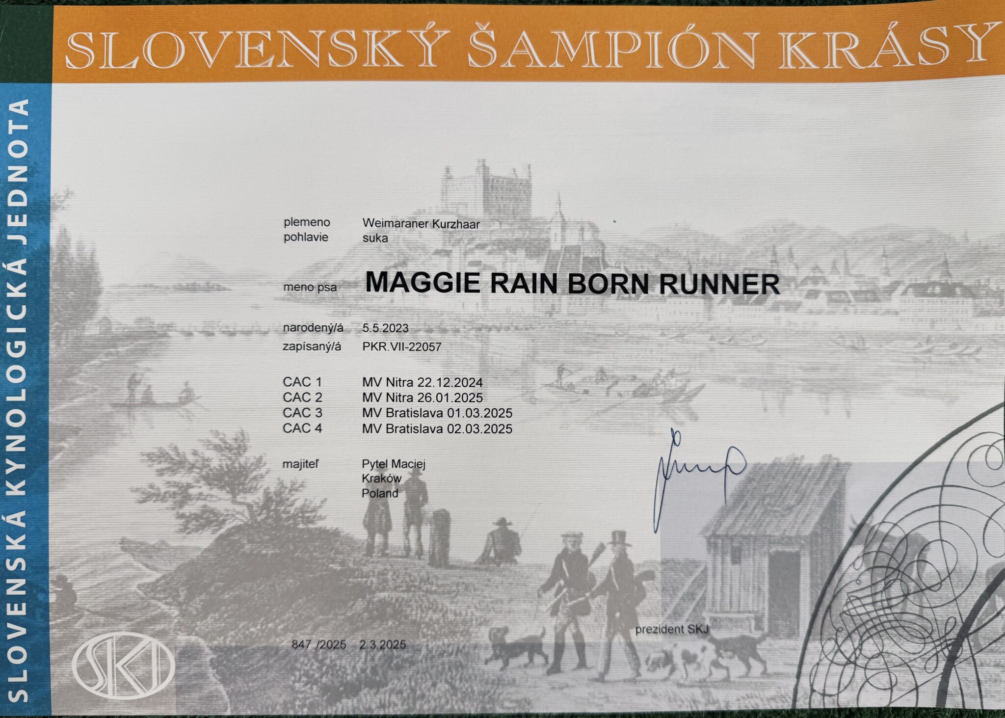 maggie skch