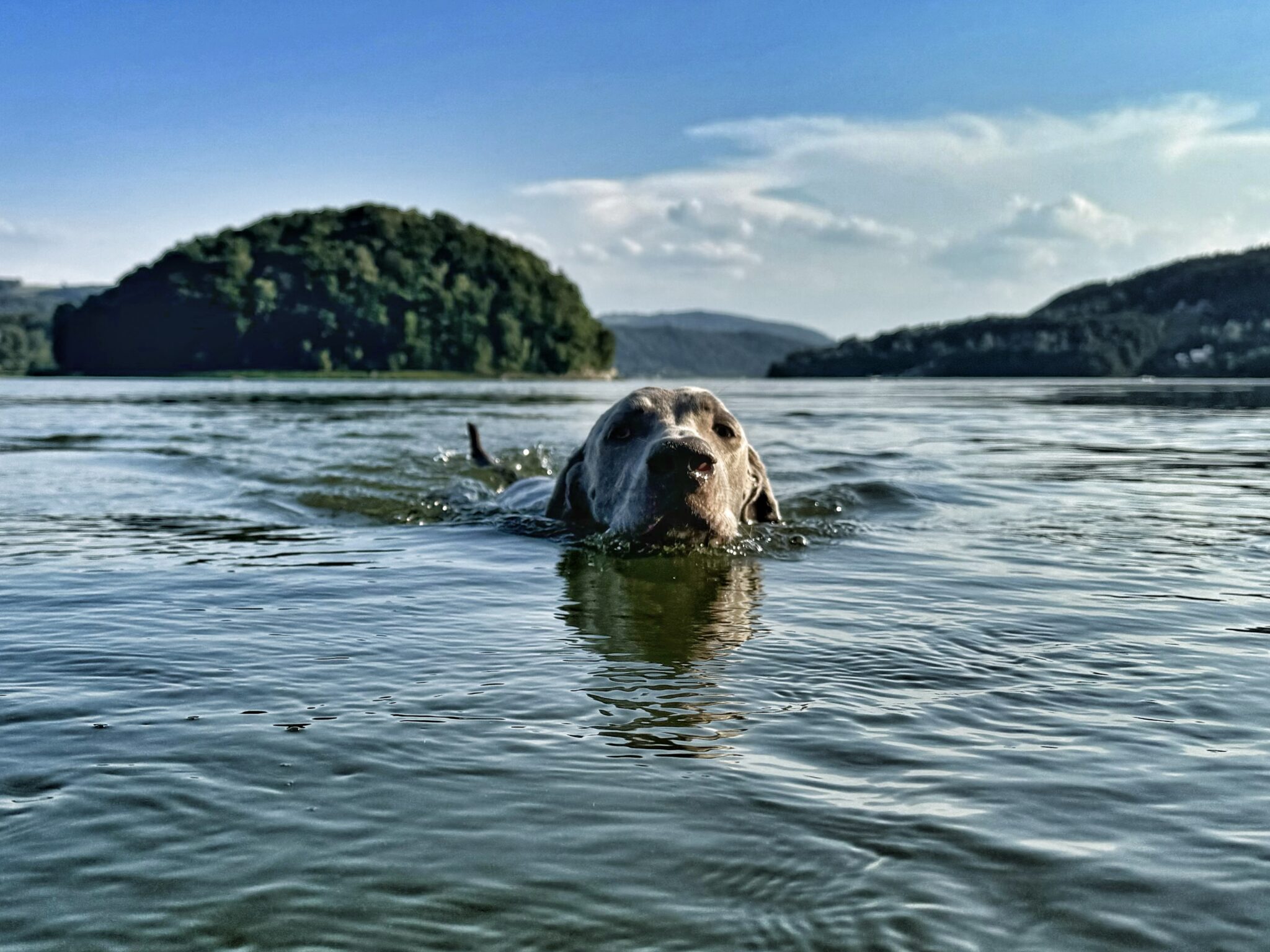 maggie6